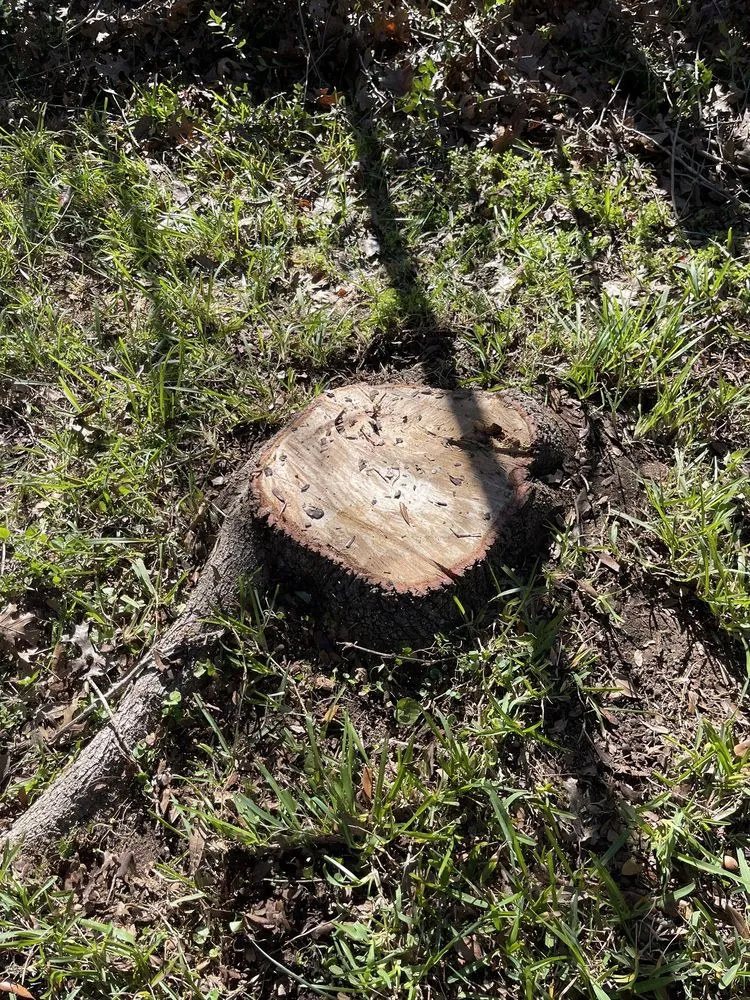 Affordable landscape design for residential properties across Austin, TX - Antonio Garcias services