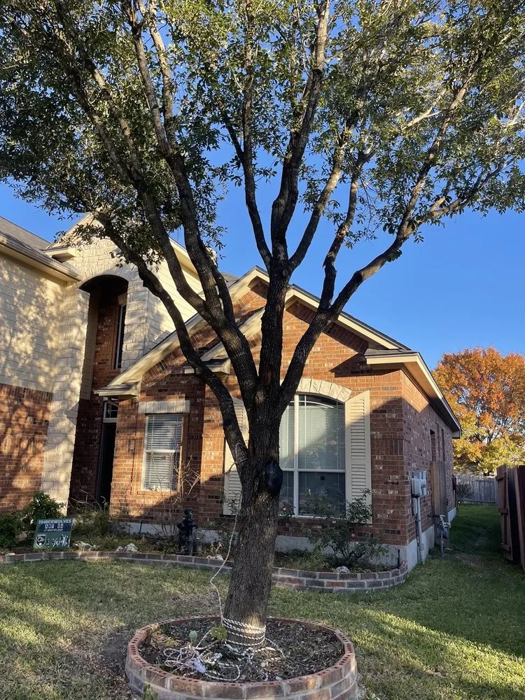 Top-rated landscape installation experts serving Austin, TX - Antonio Garcias services