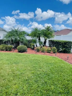 Antonio Landscaping Outdoors & More Logo