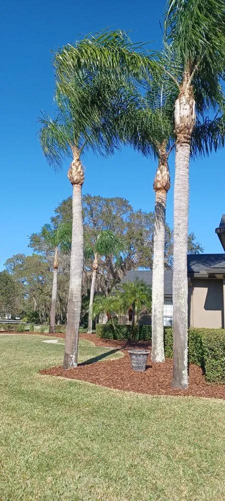 Custom yard cleanup service in Sanford, FL - Antonio Landscaping Outdoors And More