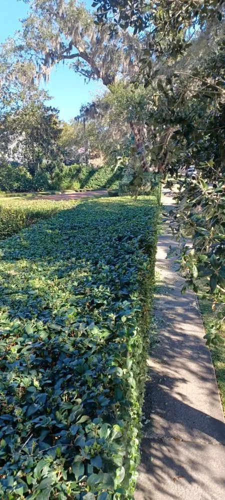 Custom landscape installation for homes in Sanford, FL by Antonio Landscaping Outdoors And More