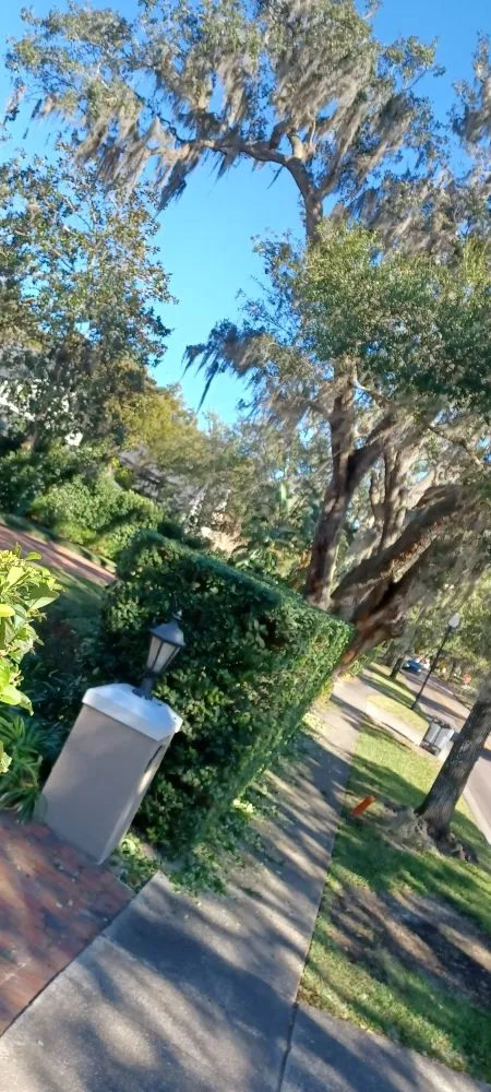 Top-rated outdoor landscaping for residential properties in Sanford, FL by Antonio Landscaping Outdoors And More