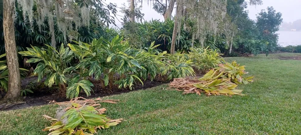 Expert yard cleanup service in Sanford, FL - Antonio Landscaping Outdoors And More