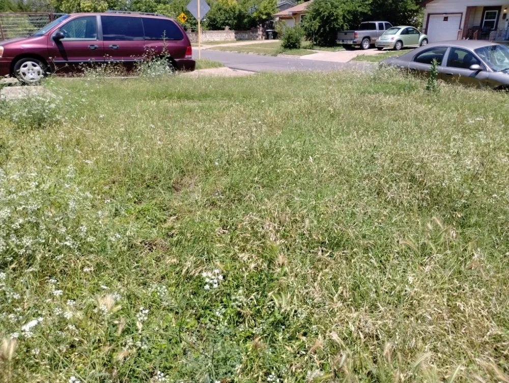 Top-rated landscaping services near you in Killeen, TX by Antonio Landscaping Paradise