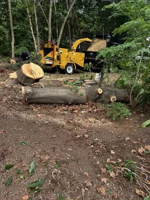 Antonio Landscaping Services Logo