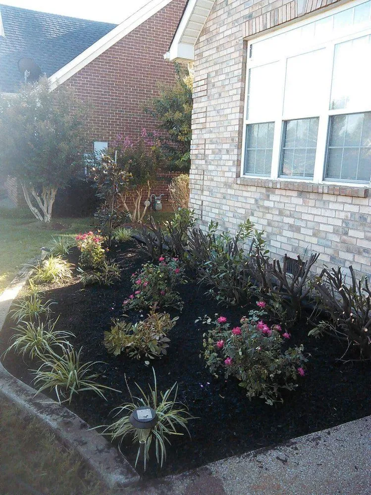 Expert yard cleanup service for year-round maintenance across Murfreesboro, TN - Antonio Lawn Service