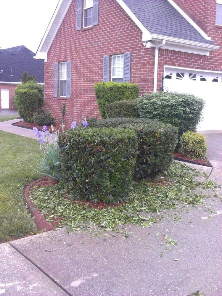 Reliable landscape installation experts serving Murfreesboro, TN - Antonio Lawn Service