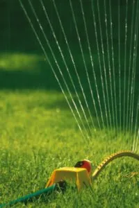 Antonio Lawn Service Logo
