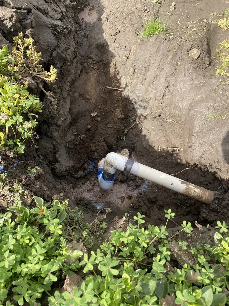 Top-rated lawn care service in Escondido, CA - Antonio Ochoa Landscaping