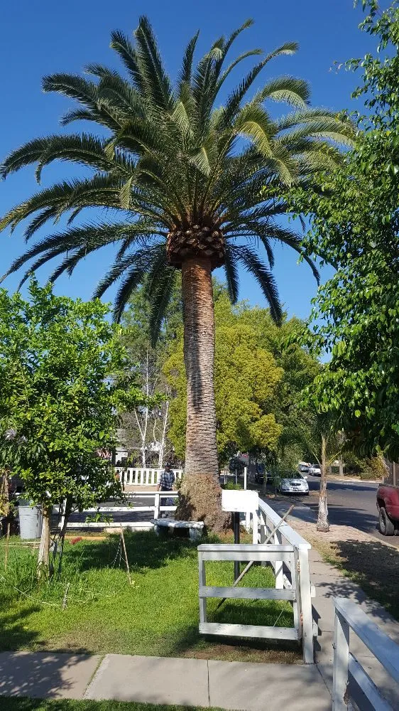 Reliable garden landscaping in Escondido, CA - Antonio Ochoa Landscaping