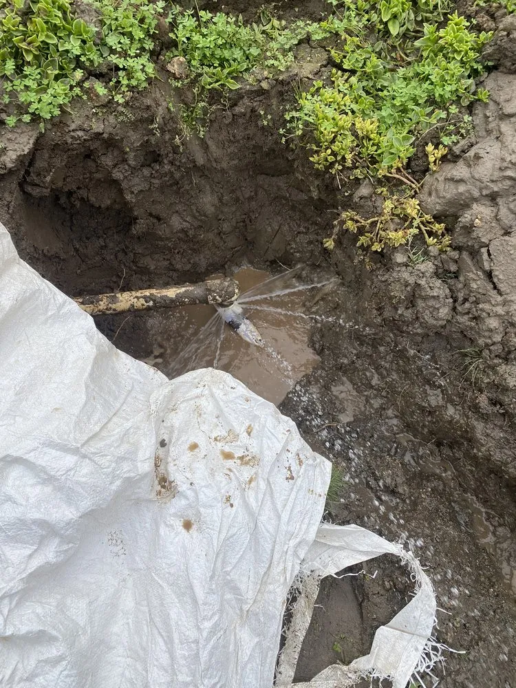 Custom lawn care service in Escondido, CA by Antonio Ochoa Landscaping