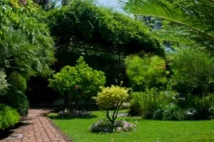 Local yard maintenance in Escondido, CA - Antonio Ochoa Landscaping
