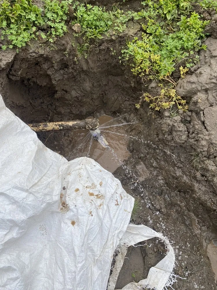 Custom landscape installation in Escondido, CA - Antonio Ochoa Landscaping