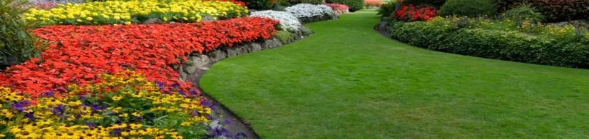 Reliable lawn mowing service in Escondido, CA by Antonio Ochoa Landscaping