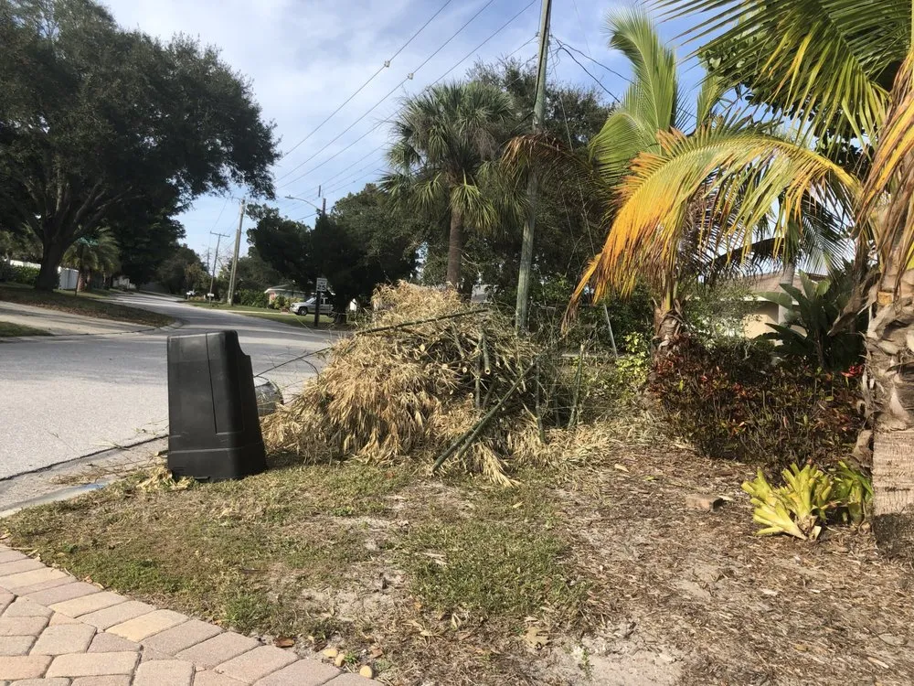 Trusted lawn mowing service in Southgate, FL - Antonio Ortiz Landscaping Services