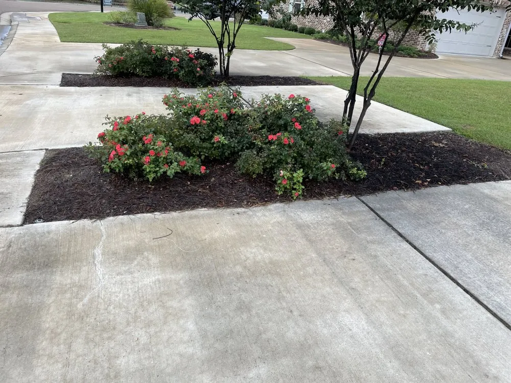 Affordable outdoor landscaping for beautiful yards across Jackson, MS - Antonio Pro Lawn Care