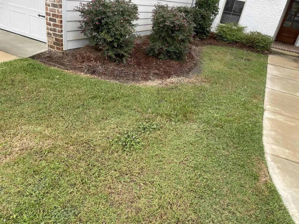 Trusted lawn care service in Jackson, MS - Antonio Pro Lawn Care