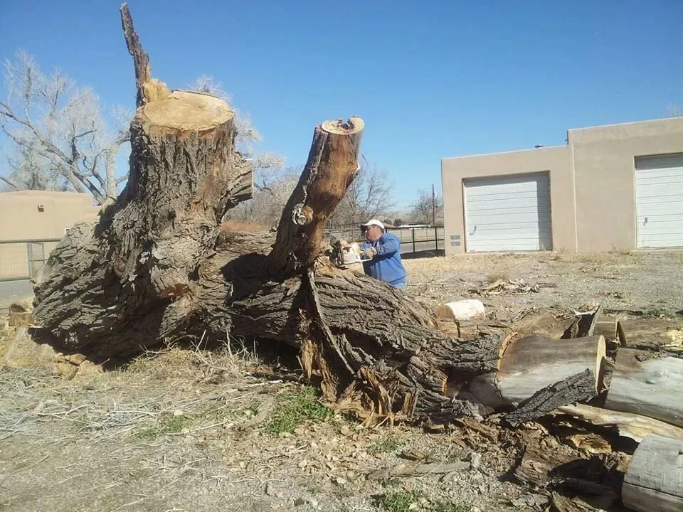 Expert residential landscaping near you across Albuquerque, NM - Antonio' s Tree Service