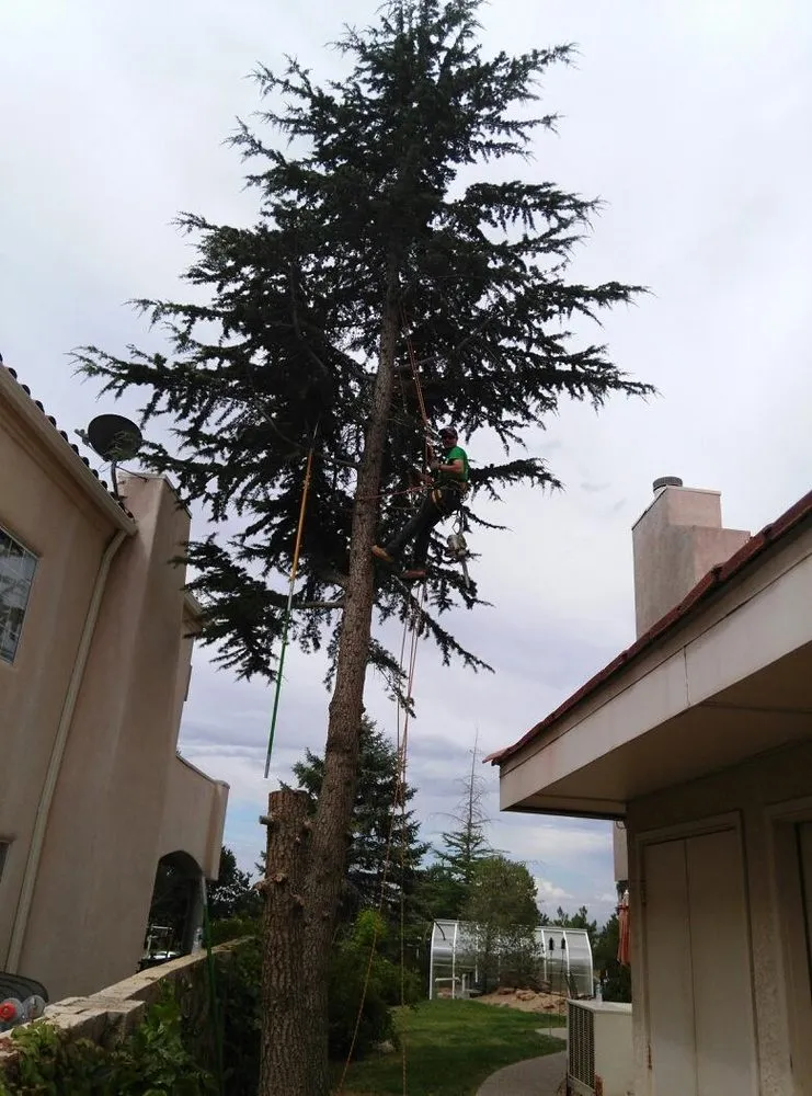 Local landscape installation in Albuquerque, NM by Antonio' s Tree Service