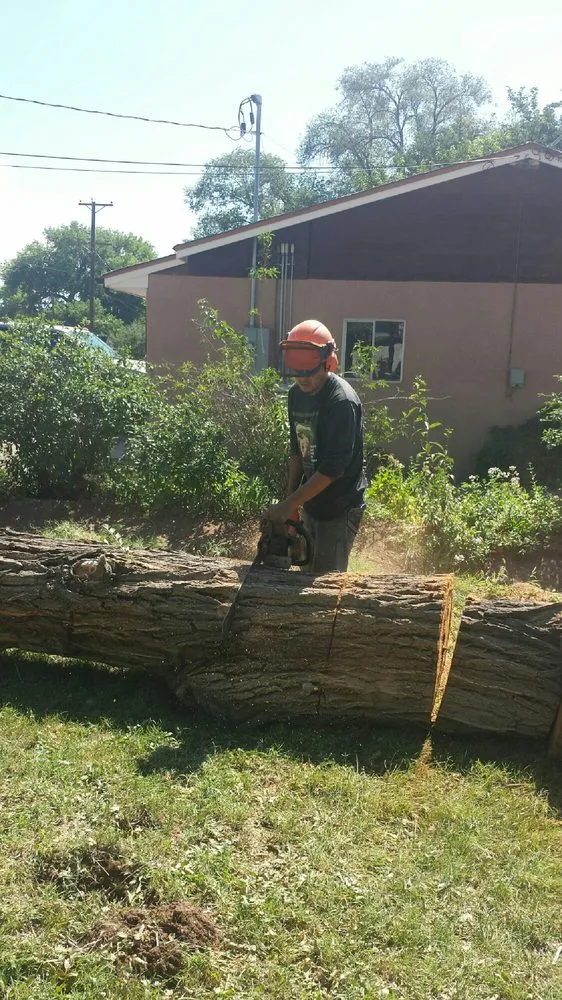 Affordable landscape installation for beautiful yards across Albuquerque, NM - Antonio' s Tree Service
