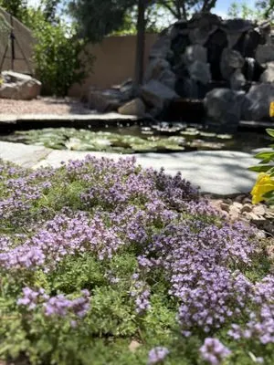 Antonio' s Tree Service Logo