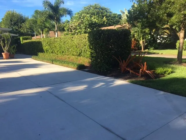 Trusted lawn mowing service in Naples, FL by Antonio Solorio Lawn Maintenance