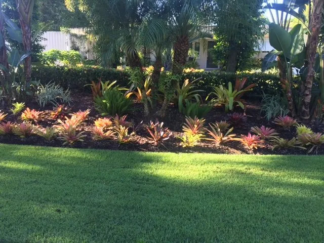 Local landscape installation in Naples, FL - Antonio Solorio Lawn Maintenance