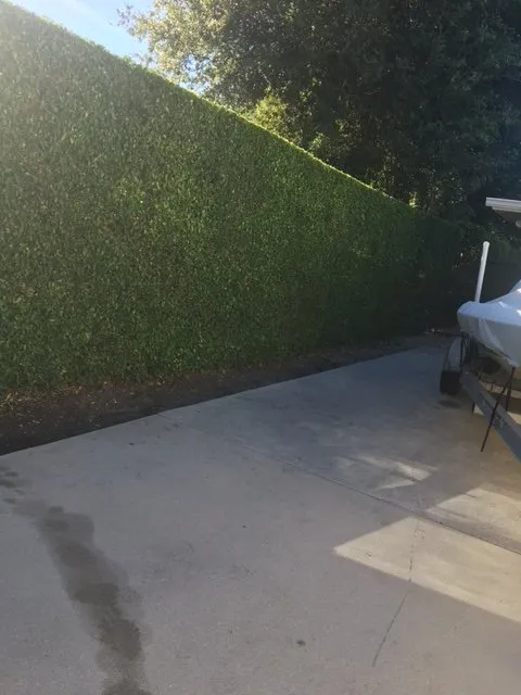 Custom yard maintenance in Naples, FL - Antonio Solorio Lawn Maintenance