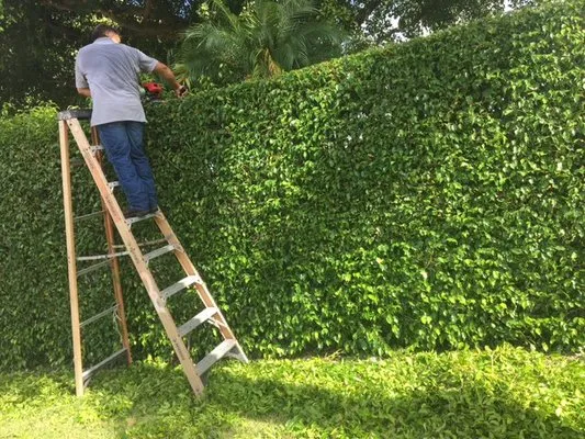 Antonio Solorio Lawn Maintenance Logo