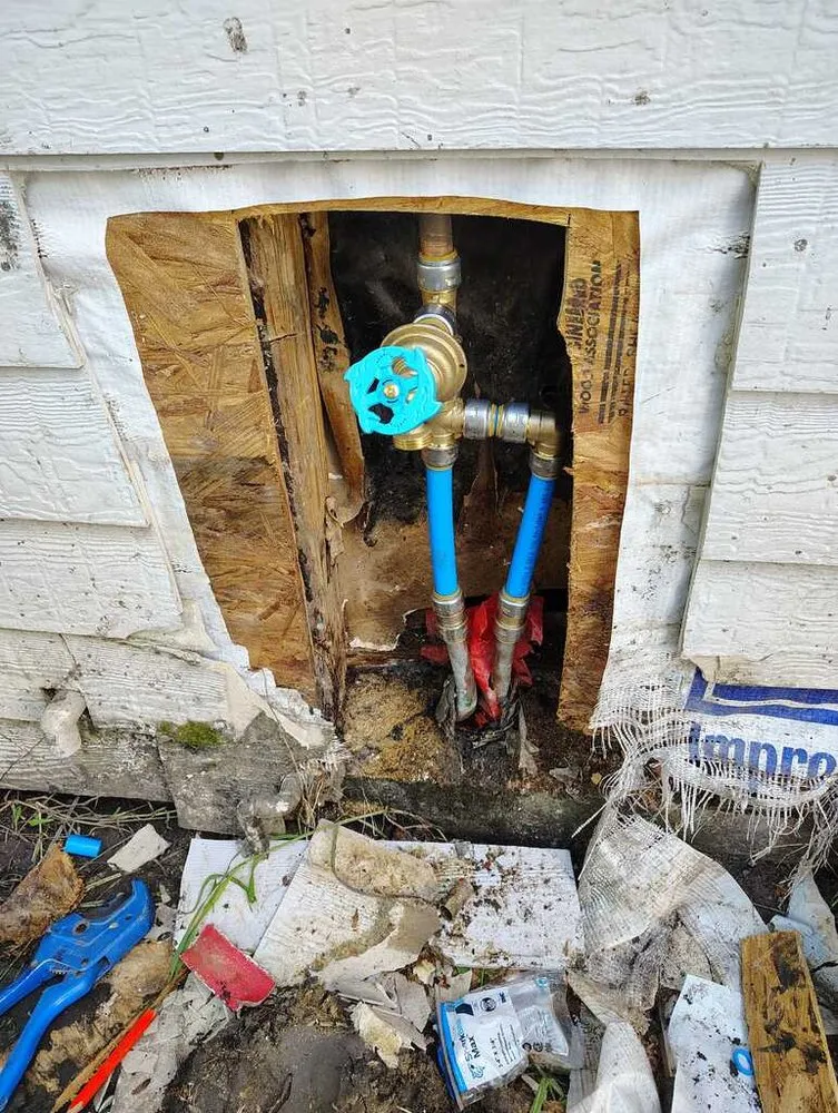 Expert lawn care service in Victoria, TX - Antonio The Handyman