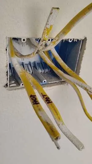 Local yard maintenance for outdoor upgrades across Victoria, TX - Antonio The Handyman