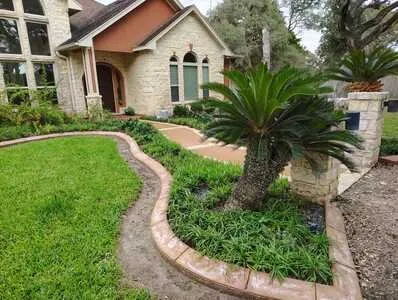 Expert yard maintenance for year-round maintenance in Victoria, TX by Antonio The Handyman