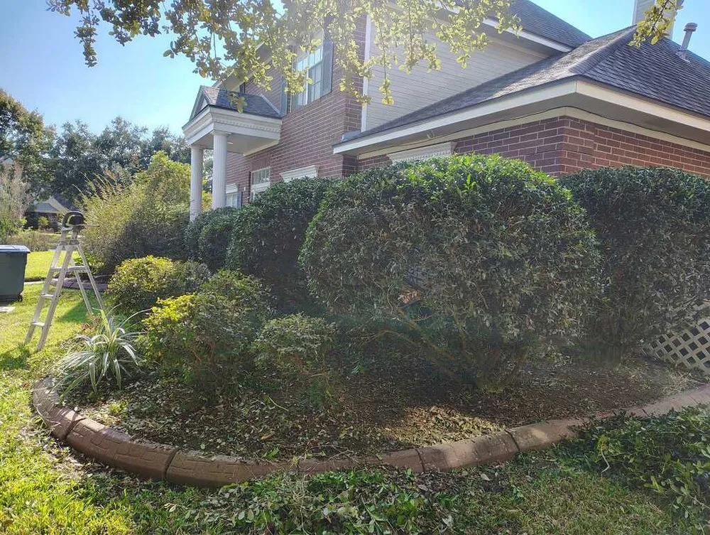 Reliable residential landscaping for residential properties in Victoria, TX by Antonio The Handyman