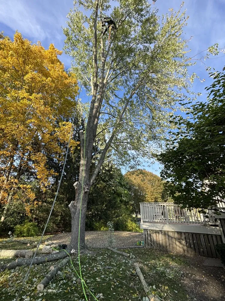 Expert lawn care service in Lynn, MA - Antonio Tree Service