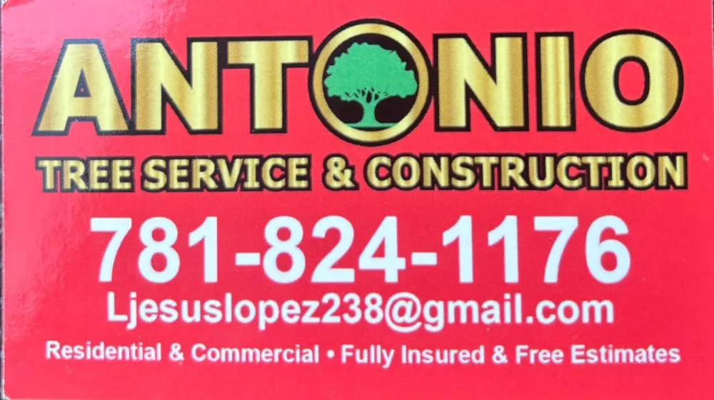 Top-rated residential landscaping in Lynn, MA - Antonio Tree Service
