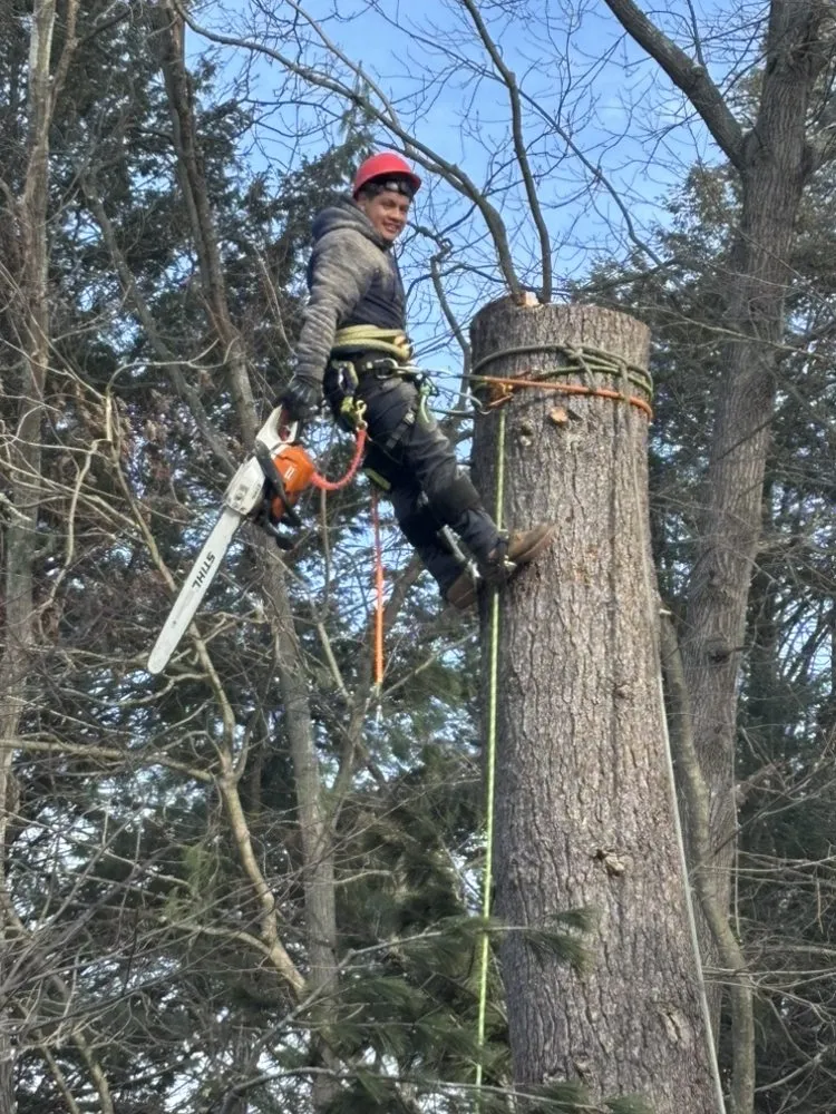 Custom landscaping services for outdoor upgrades in Lynn, MA by Antonio Tree Service