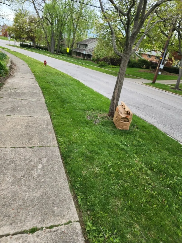 Affordable landscaping services with custom design in Cleveland, OH by Antonio Wyckoff's Lawn Services