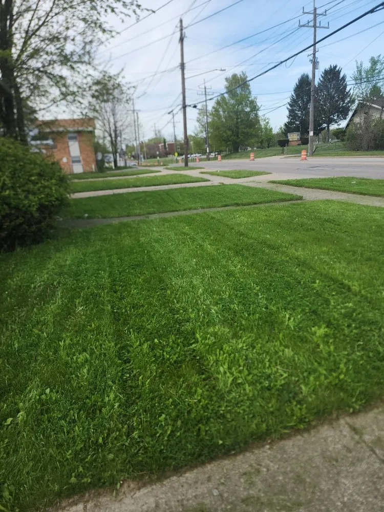 Custom garden landscaping for outdoor upgrades across Cleveland, OH - Antonio Wyckoff's Lawn Services