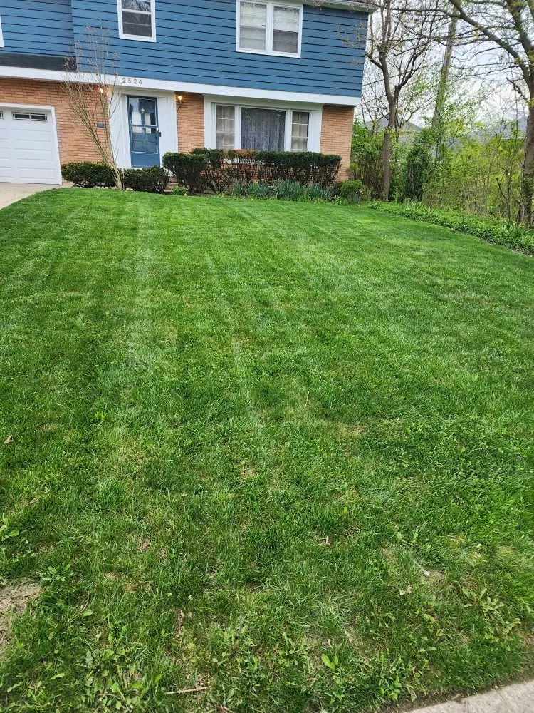 Expert landscape design experts serving Cleveland, OH - Antonio Wyckoff's Lawn Services