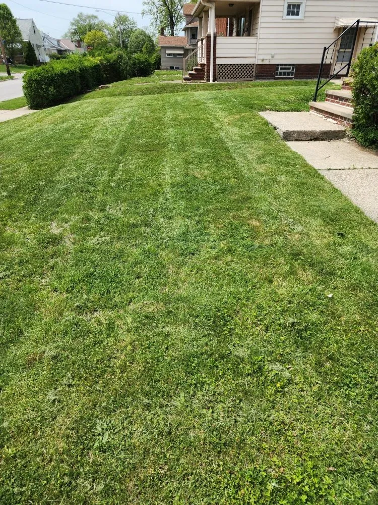 Professional landscape installation experts serving Cleveland, OH - Antonio Wyckoff's Lawn Services