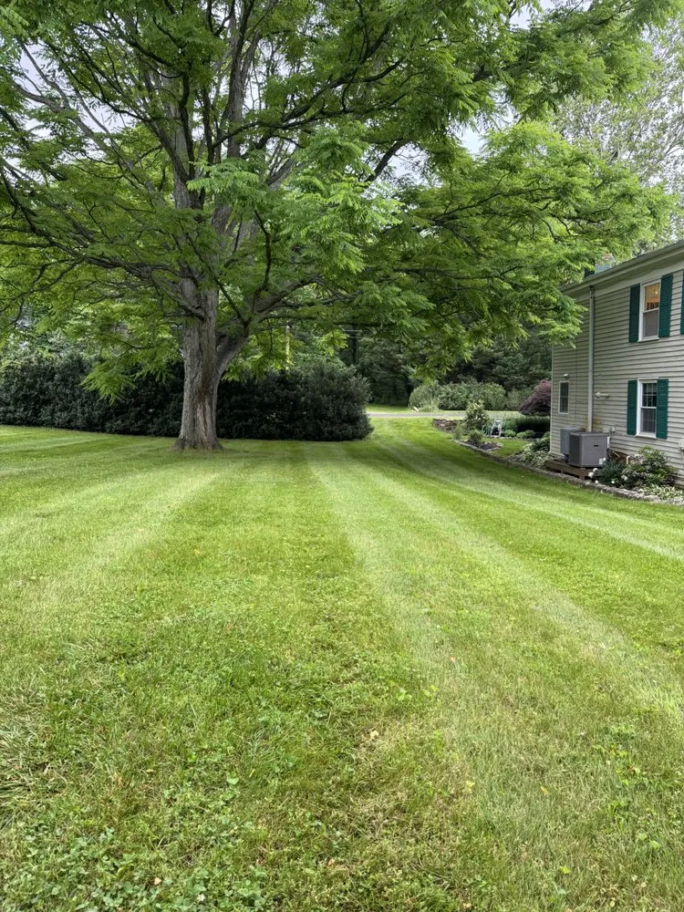 Expert landscape design in Catlett, VA by Antonio’s Detailing & pressure washing services