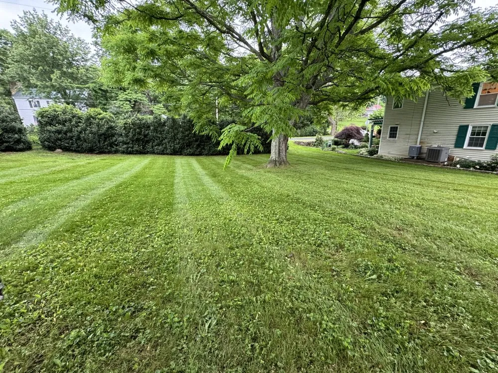 Local yard cleanup service in Catlett, VA by Antonio’s Detailing & pressure washing services