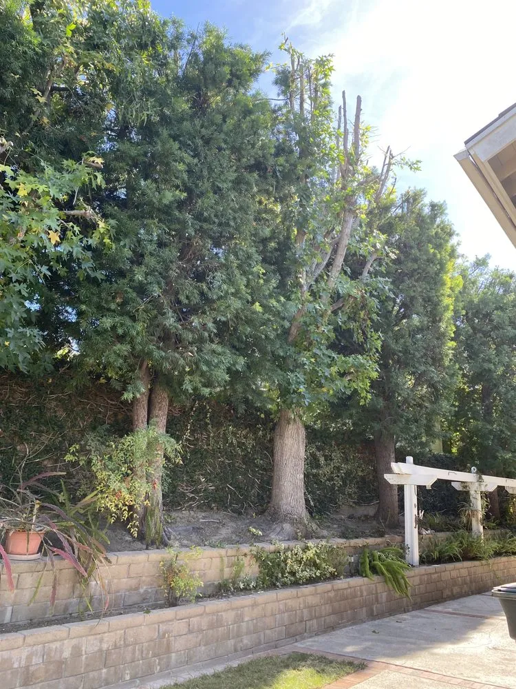 Expert residential landscaping in Laguna Hills, CA - Antonio's Gardening