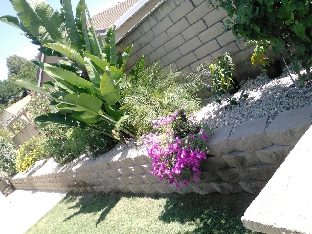 Local lawn mowing service in Laguna Hills, CA by Antonio's Gardening