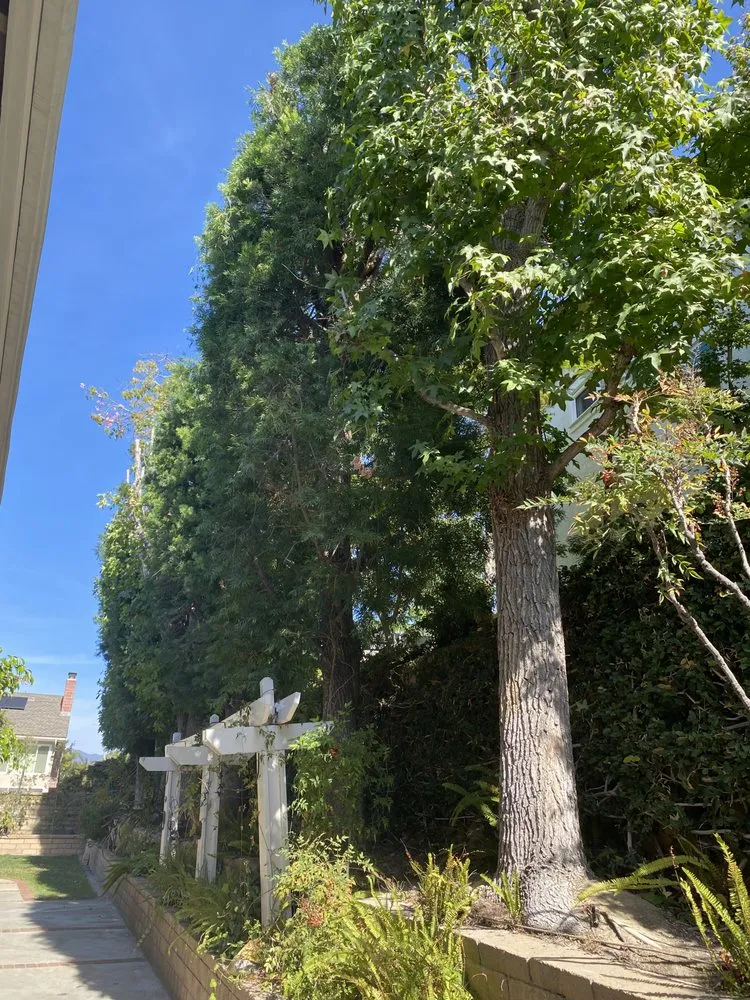 Professional landscaping services with custom design across Laguna Hills, CA - Antonio's Gardening