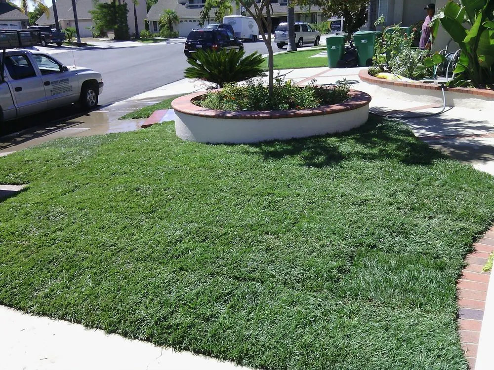 Top-rated lawn care service for beautiful yards across Laguna Hills, CA - Antonio's Gardening