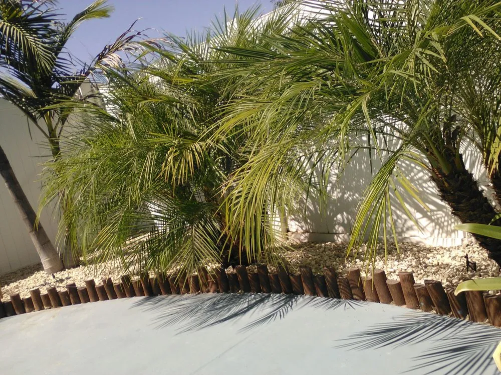 Affordable lawn care service for outdoor upgrades across Laguna Hills, CA - Antonio's Gardening