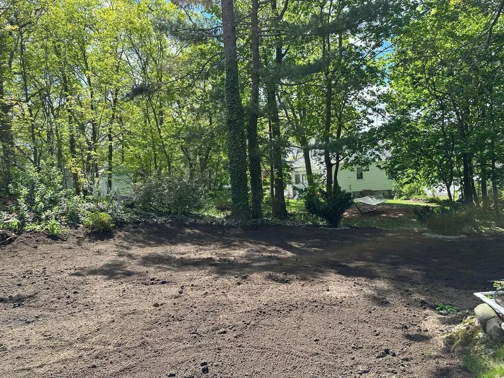 Affordable yard cleanup service in Malden, MA by Antonio’s Landscape