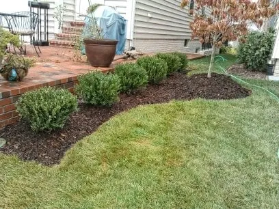 Reliable landscape design in Alexandria, VA by Antonio's Landscaping & Hardscaping