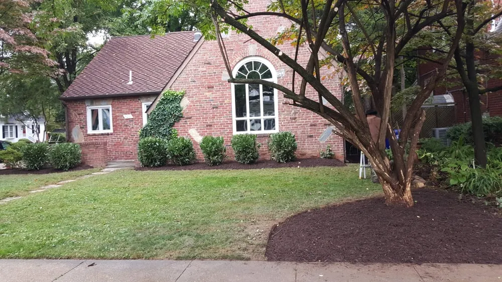Professional yard maintenance for homes in Alexandria, VA by Antonio's Landscaping & Hardscaping